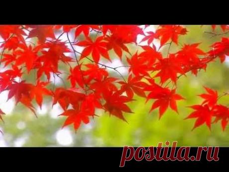 Лист осенний - Витас - YouTube