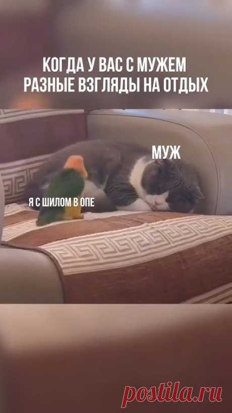 Когда у вас с мужем разные взгляды на отдых