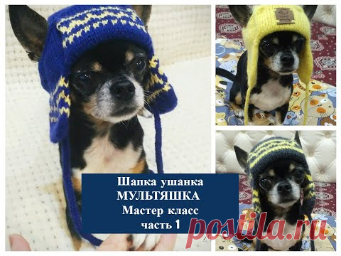 Шапка ушанка для собачки 