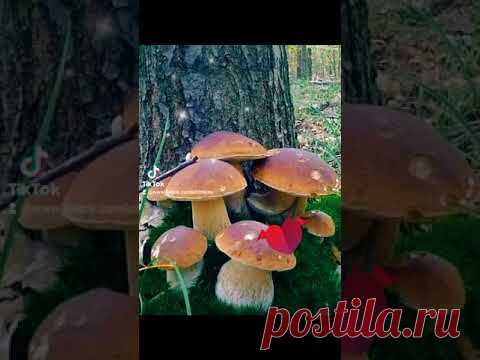 ДОБРОЕ УТРО! ЗДОРОВЬЯ И БЛАГОПОЛУЧИЯ! Берегите себя! #доброееутро