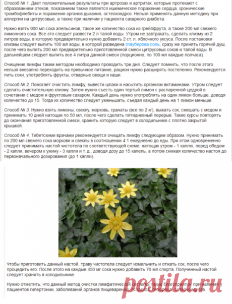 Чистим лимфу