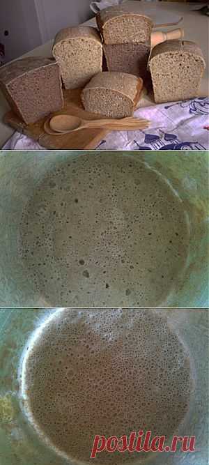 Закваска для домашнего хлеба | Украинский Organic-журнал