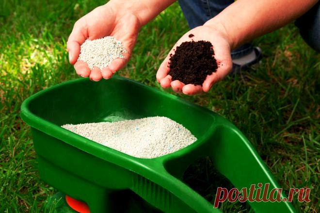 Какие подкормки лучше не использовать на участке: 10 самых опасных