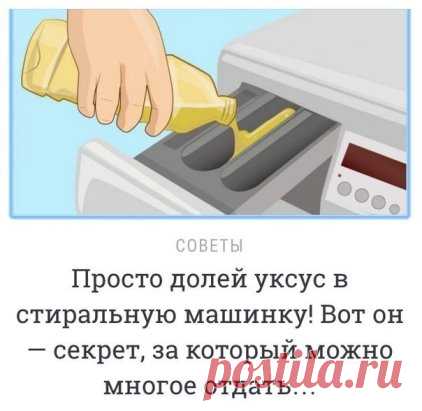 Просто долей уксус в стиральную машинку! Вот он — секрет, за который можно многое отдать…
Просто поразительно, сколькими полезными качествами обладает обычный столовый уксус! Он придает блеск кафелю, зеркалам и бокалам, очищает краны и смесители от известкового налета, в тандеме с содой эффективно отбеливает раковину…
Но вот что будет, если добавить уксус во время стирки вещей? Мы нашли 5 причин, которые убедят тебя непременно долить уксус в стиральную машинку.
Чем отстиры...