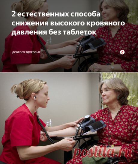 2 естественных способа снижения высокого кровяного давления без таблеток | Доброго здоровья! | Яндекс Дзен
