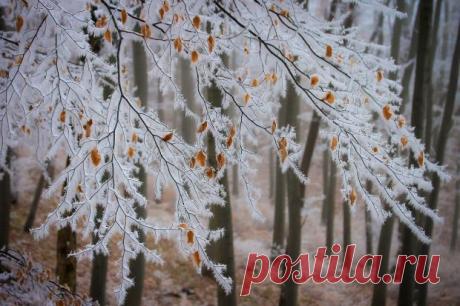 Магнитные бури сегодня: прогноз на 10 декабря – сильные возмущения магнитосферы