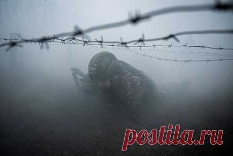 Украина выразила протест против показа в Австралии фильма про СВО. Посольство Украины в Австралии возмутилось показом местным вещателем ABC британского фильма про специальную военную операцию из-за якобы пророссийского характера кинокартины. Против показа ленты «Украинская война: другая сторона» выступила Федерация украинских организаций Австралии.