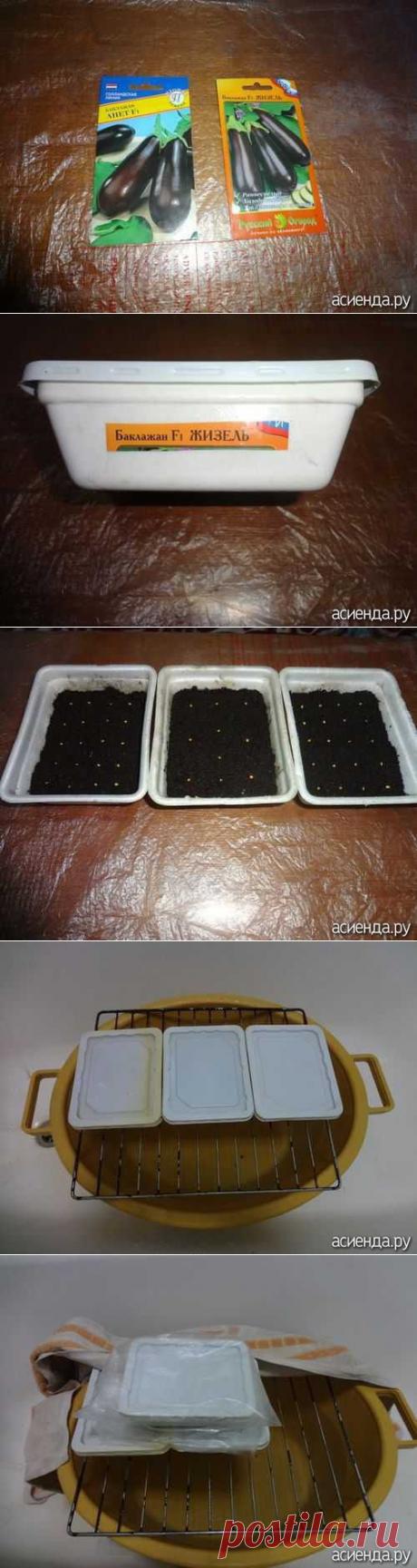 МАСТЕР-КЛАСС ИГОРЯ ЛЯДОВА О ТОМ, КАК СЕЯТЬ СЕМЕНА НА РАССАДУ: Группа Практикум садовода и огородника