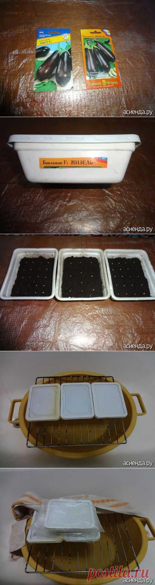 МАСТЕР-КЛАСС ИГОРЯ ЛЯДОВА О ТОМ, КАК СЕЯТЬ СЕМЕНА НА РАССАДУ: Группа Практикум садовода и огородника