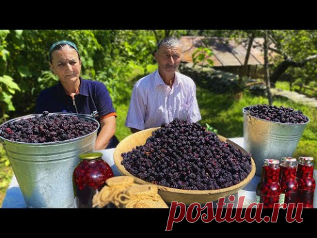 Сбор Дикой Ежевики в Горах и Приготовление Ежевичного Пирога и Варенья в Деревне