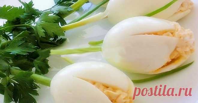 ​Закуска белые тюльпаны.