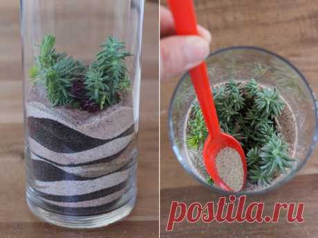 Для декора — Сделай сам, идеи для творчества - DIY Ideas