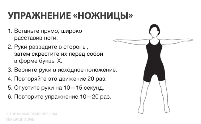 6 упражнений для красивых рук — FunnyReps