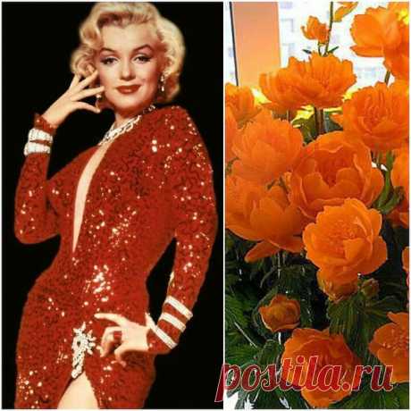 Услышь моё сердце, пойми мою душу...
Читай между строчек слова о любви...
Ласкает волной море тёплую сушу,
А ты меня нежно душой обними...
А ты мою радость люби, мои слёзы...
Мой смех и улыбку, печаль и тоску...
Люби моё Небо! Люби моё Солнце!
Люби моё Всё, что в душе берегу..