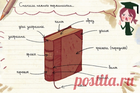 💬 Как устроена книга Начнем утро с полезных вещей. «Профессор» Вишенка рассказывает названия всех частей печатной книги. А мы внимательно записываем ☺ 🎨 #ИллюстрацияДня из прекрасного комикса «Дневники Вишенки. Том 3». Заказать все книги серии до конца недели можно на 40% дешевле → mif.to/vkdvishenki