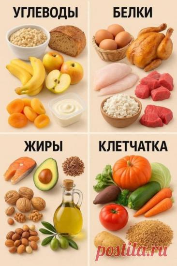 4 ключевые группы продуктов, которые должны быть в рационе каждый день
Чтобы питание было сбалансированным, важно не исключать целые категории продуктов, а грамотно сочетать их. Эта схема поможет понять, какую роль играет каждая группа.