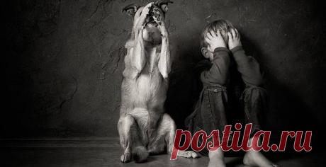 В набирающем популярность конкурсе приняли участие более тысячи фотографов из разных стран мира — от США до Австралии.