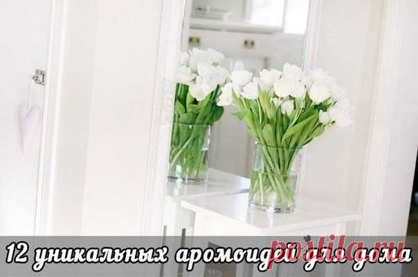 12 уникальных аромоидей для дома | Страна Полезных Советов