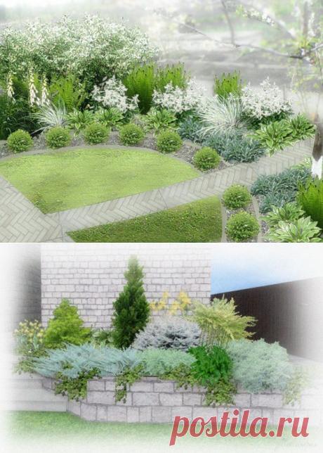 НЕОБЫКНОВЕННЫЕ ПРОЕКТЫ ЦВЕТНИКОВ С ФОРУМА &quot;ЦВЕТУЩАЯ ДАЧА&quot; | Самоцветик