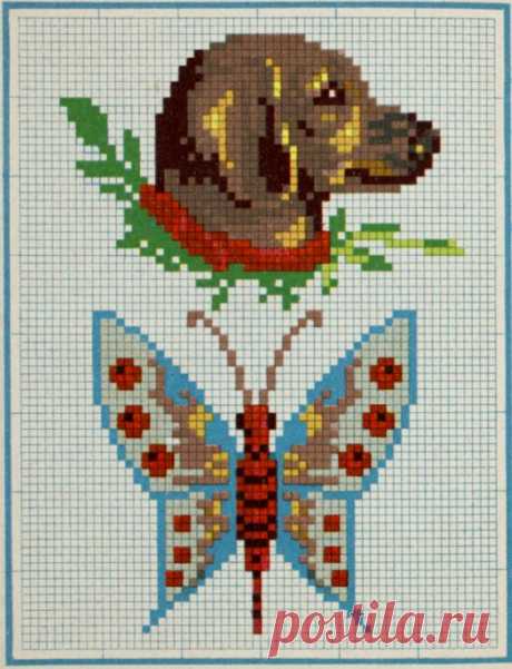 (7) Gallery.ru / Фото #9 - Ретро зоопарк - bdancer