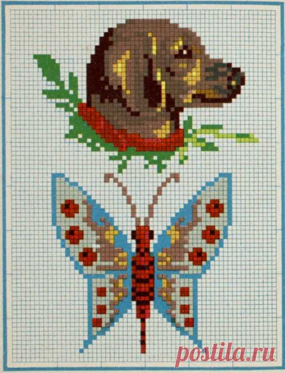 (7) Gallery.ru / Фото #9 - Ретро зоопарк - bdancer