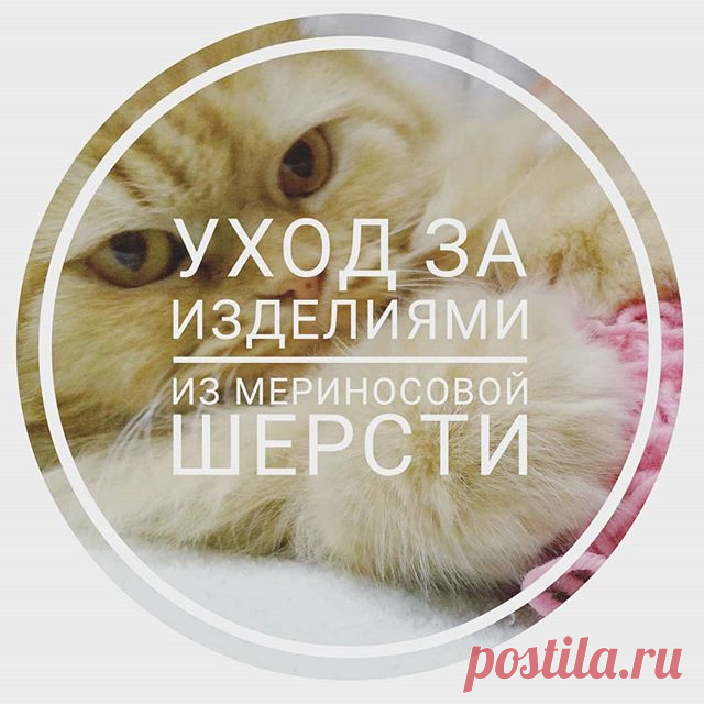 Добрый вечер! Мы с Масей желаем вам отличного настроения! #kiki_копилка
.......
🐑Для таких изделий рекомендуется самый бережный способ стирки руками. Поступайте следующим образом:
🔹налейте в емкость воду, погретую до 30-35⁰ С., добавьте колпачок шампуня или любое другое моющее средства для стирки деликатных материалов;хорошо взбейте раствор до пышной пены и погрузите вещь полностью на 5-10 минут, после этого слегка пожмите и прополощите пару раз в теплой воде, чтобы полн...