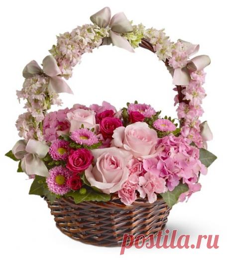 at788489526.jpg (640×729)