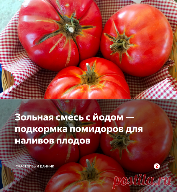 Зольная смесь с йодом — подкормка помидоров для наливов плодов | Cчастливый дачник | Яндекс Дзен