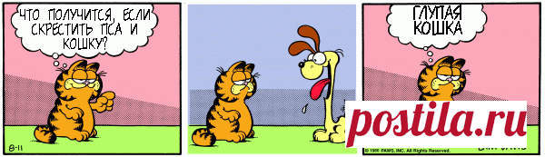 1980-08-11