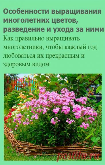 Особенности выращивания многолетних цветов, разведение и ухода за ними. Существует два диаметрально противоположных мнения по поводу выращивания многолетних цветов: первый - многолетники - это здорово, ткнул в землю и забыл, а они цветут себе многие годы! Второй - многолетники - это головная боль на многие годы, укрывай, открывай, пересаживай...