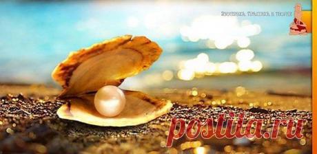 Интересные новости