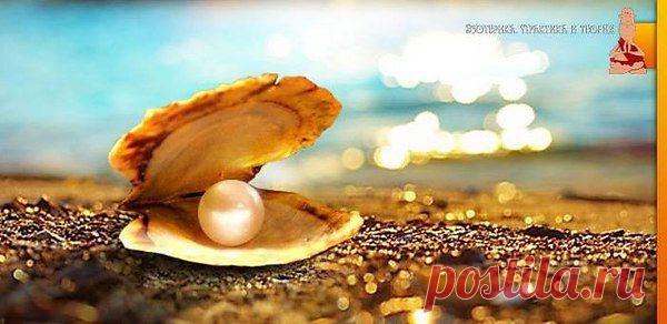 Интересные новости