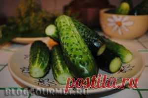 Консервированные огурцы | Кулинарный блог Просто и Вкусно - только проверенные кулинарные рецепты с фото