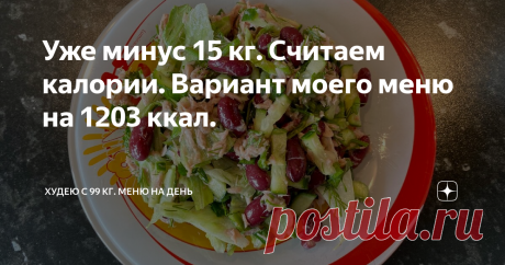 Уже минус 15 кг. Считаем калории. Вариант моего меню на 1203 ккал. Приветствую всех, кто зашел на мой канал! Продолжаю свою серию статей на Дзене! Меня зовут Светлана. Седьмого сентября 2020 г. начался    мой путь похудения (кому интересно-кликайте по ссылке)   . Я начала худеть с 99 кг. На данный момент мой вес 84 кг. Пятнадцать килограмм позади. Вес то прибавляется на несколько сотен грамм, то убавляется, так сказать "качели"... Поэтому итоговые килограммы