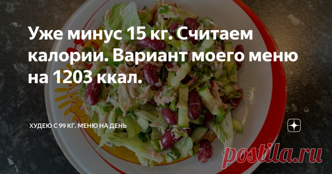 Уже минус 15 кг. Считаем калории. Вариант моего меню на 1203 ккал. Приветствую всех, кто зашел на мой канал! Продолжаю свою серию статей на Дзене! Меня зовут Светлана. Седьмого сентября 2020 г. начался    мой путь похудения (кому интересно-кликайте по ссылке)   . Я начала худеть с 99 кг. На данный момент мой вес 84 кг. Пятнадцать килограмм позади. Вес то прибавляется на несколько сотен грамм, то убавляется, так сказать 