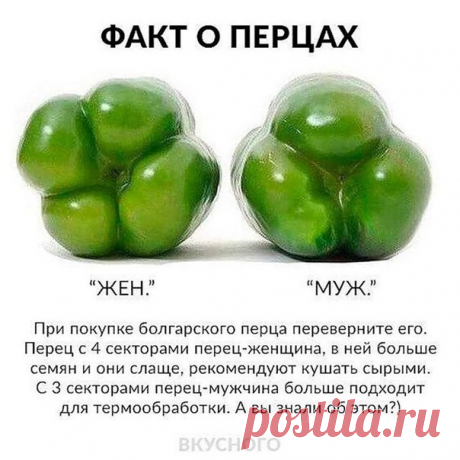 (1) Одноклассники
