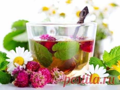 Рецепты успокаивающих чаев