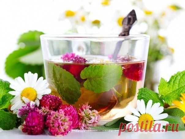 Рецепты успокаивающих чаев