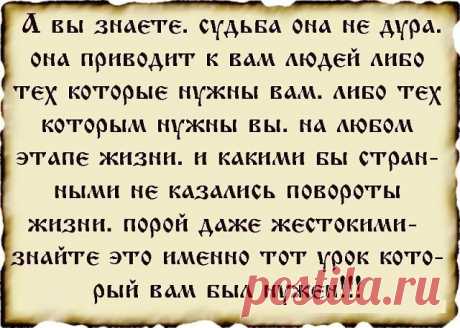 5 непрочитанных чатов