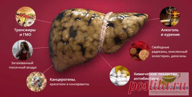 Как разгрузить печень? Вы можете болеть и не знать причины Отеки, головокружение, желудочно-кишечные расстройства, тошнота и бело-желтый налет на языке – признаки перегруженности печени токсинами. Постарайтесь от них освободиться – сразу уйдут и многие болезн…