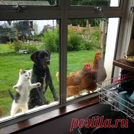 10 фотографий, в реальность которых трудно поверить | Вращаю Руль | Яндекс Дзен