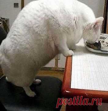 Одноклассники