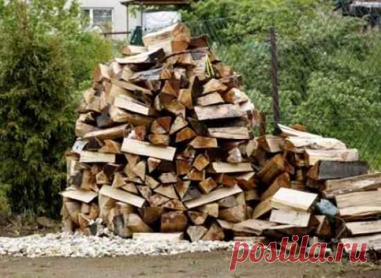 Полезный дачный мусор: эффективное использование