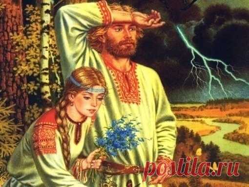 ТРАВЯНЫЕ РЕЦЕПТЫ ОТ МНОГИХ ЗАБОЛЕВАНИЙ