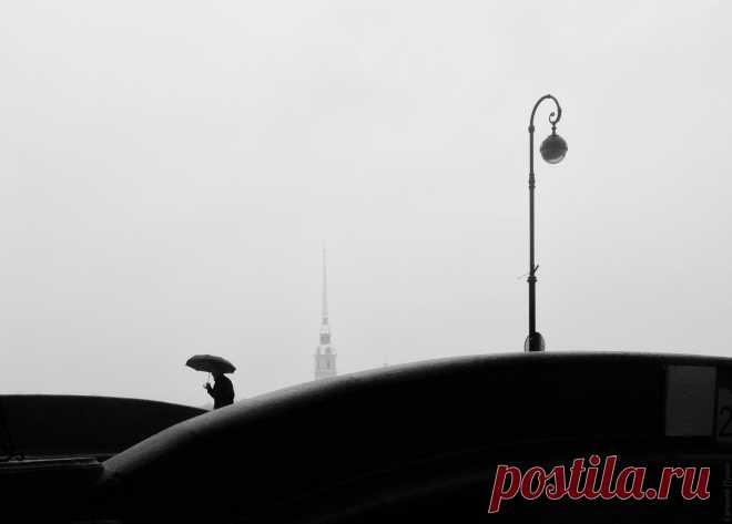 Фотография № 6562385. Фотограф Евгений Луцко