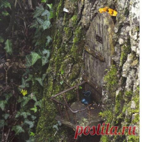 (6) Pixie Wood at Amongst The Ivy