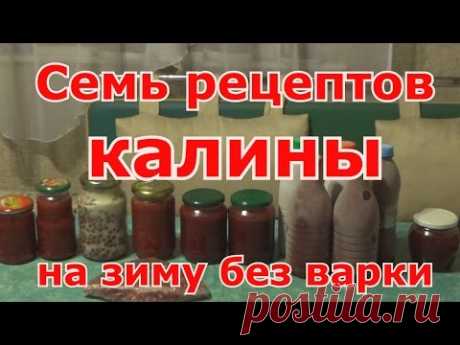 Семь рецептов из калины на зиму без варки. Проверенные рецепты. Как сохранить максимум витаминов.