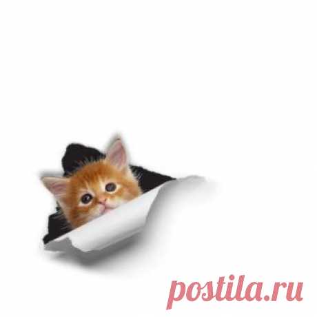 Статусы про жизнь