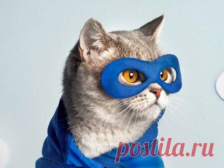 Яндекс Дзен — персональная лента публикаций на основе ваших интересов: статьи и новости из интернет-изданий, популярные видео и фото