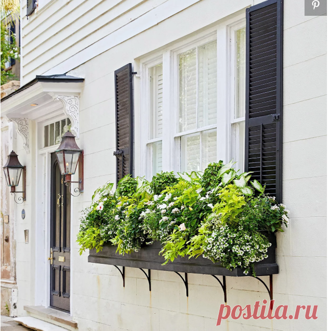 How to Plant a Window Box Like a Pro | Better Homes & Gardens